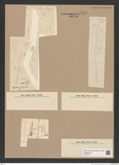 Diatomeae indet. Zeichnungen Sammlung Grunow Nr. 9755 (NHMW-BOT-W0379741)
